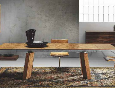 Esszimmer (Garnitur für Esszimmer), Rattan wood