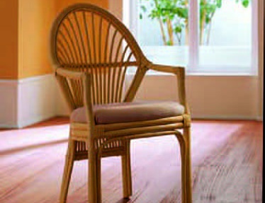 Exklusive Stühle Roberti Rattan: besonders die Modelle von der