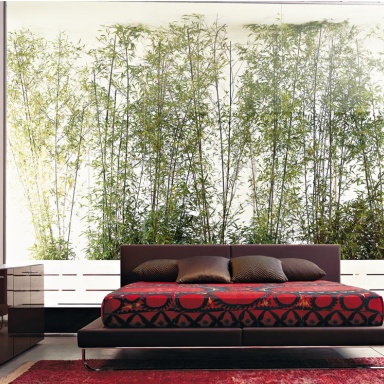 Bett Samsara
