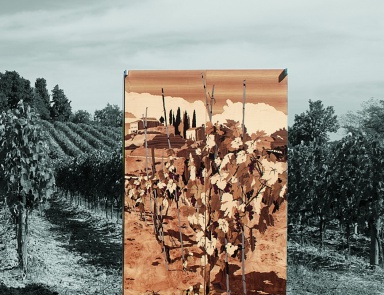 Weinschrank Colonna Vino, Toncelli