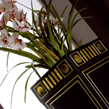 Vase Vase
