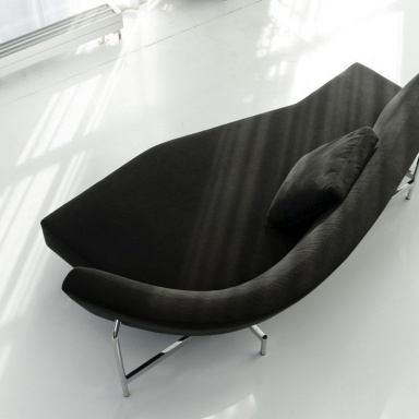 Sofa Shark