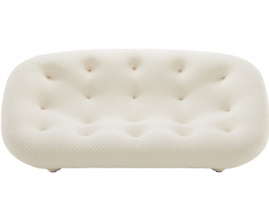 Der Zweisitzer Sessel PLOUM, Ligne Roset (der Zweisitzer Sessel)