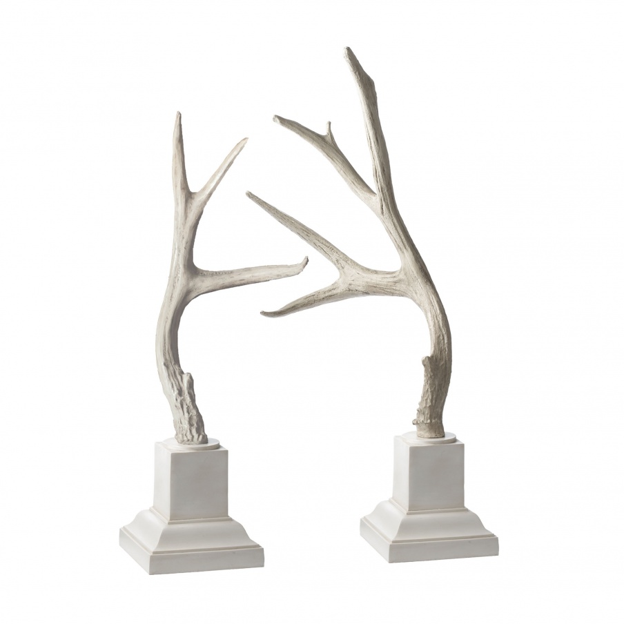 Zubehör Weathered Resin Buck Antlers On White Base - Set Of 2 Dimond Home