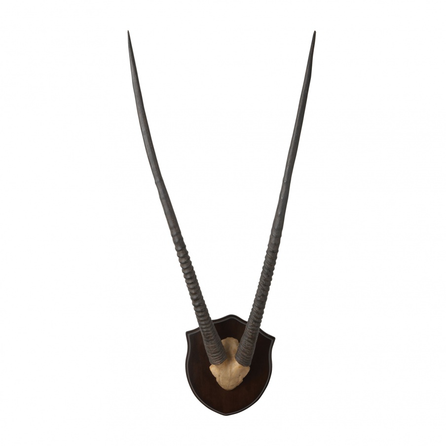 Wand-Dekor Wall Mounted Resin Gazelle Horns Dark Plaque Dimond Home