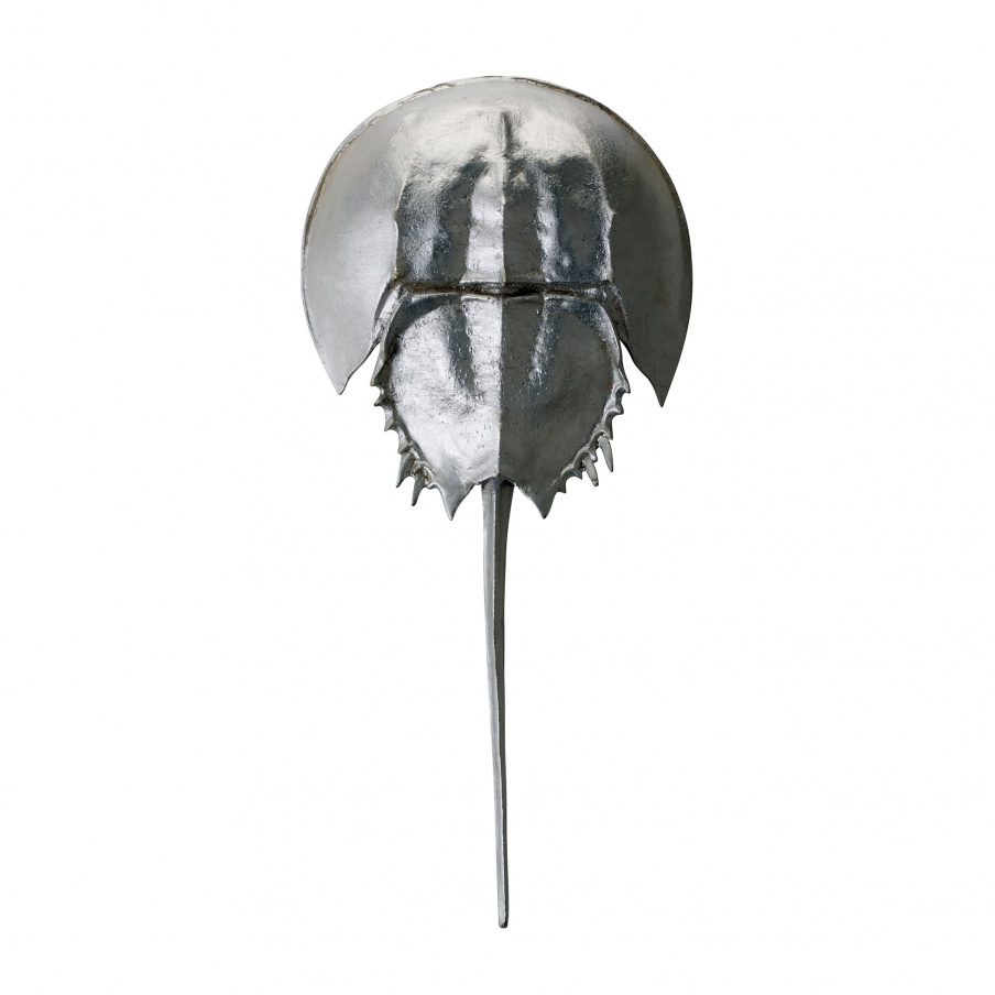 Zubehör Silver Mica Horseshoe Crab Dimond Home