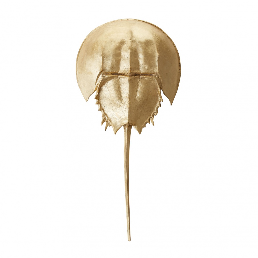 Zubehör Gold Mica Horseshoe Crab Dimond Home