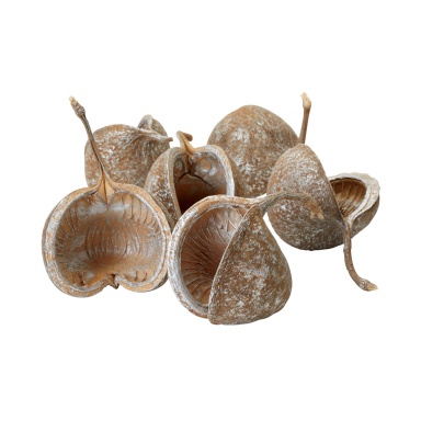 Zubehör Silver Gilt Wash Buddha Nut Shells - Set Of 6