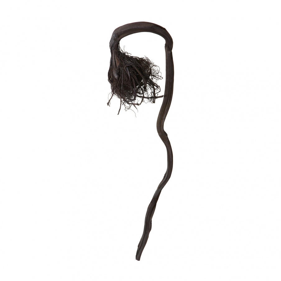 Zubehör Curly Black Kelp Root Dimond Home