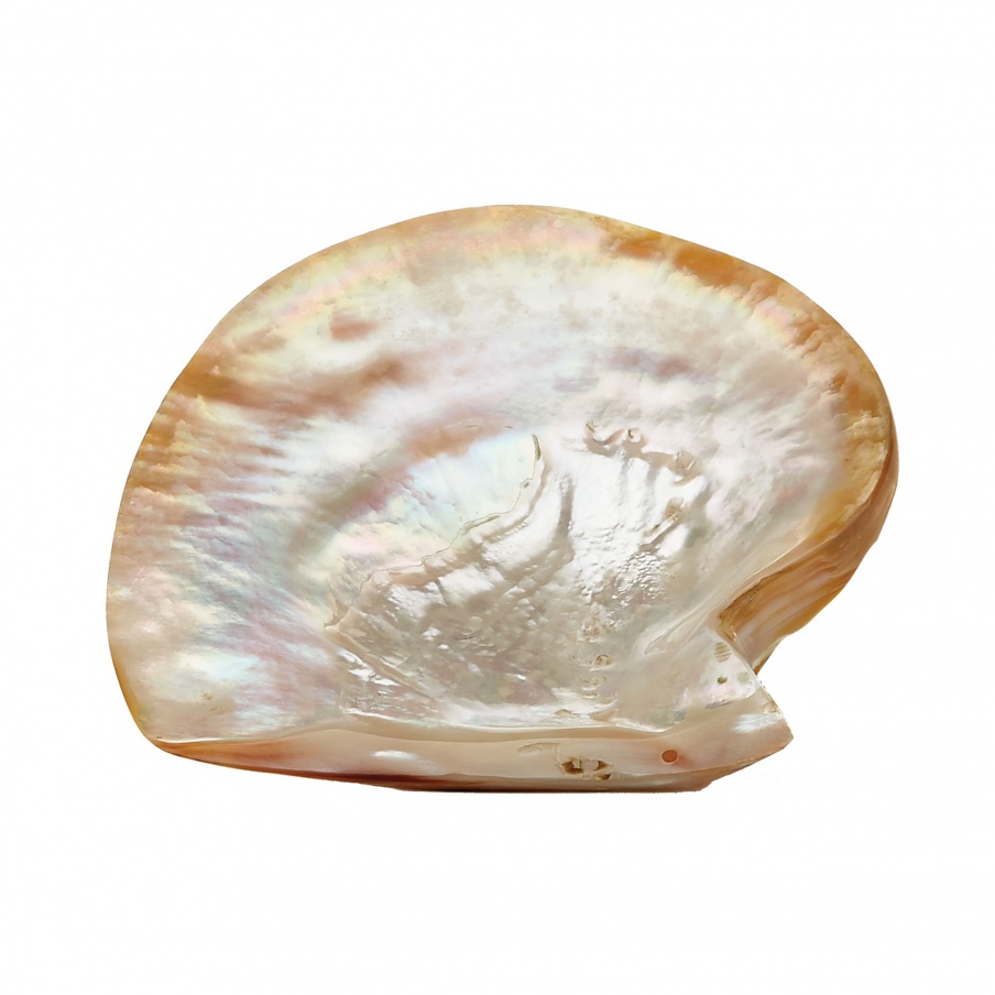 Zubehör Pearl Shell Plate Dimond Home