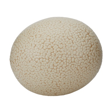 Zubehör Tofu Ostrich Egg