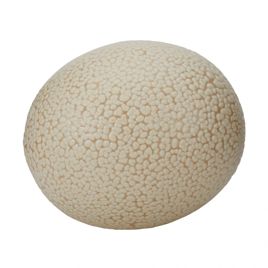 Zubehör Tofu Ostrich Egg Dimond Home