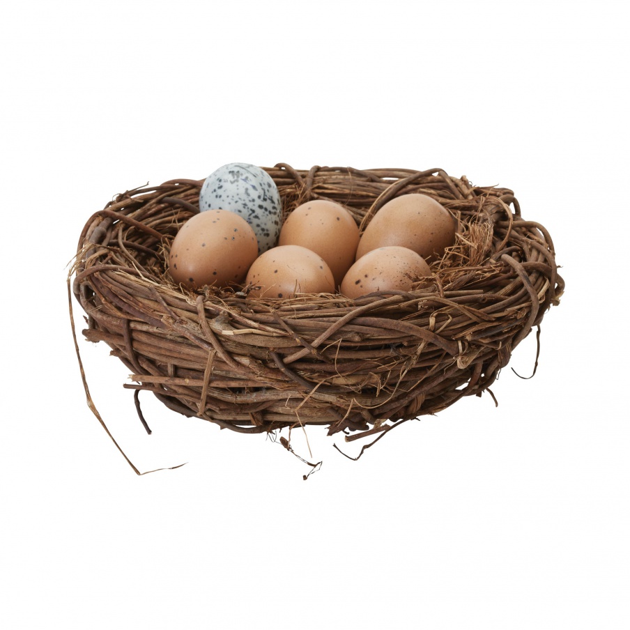 Zubehör Moor Hen Eggs In Nest Dimond Home