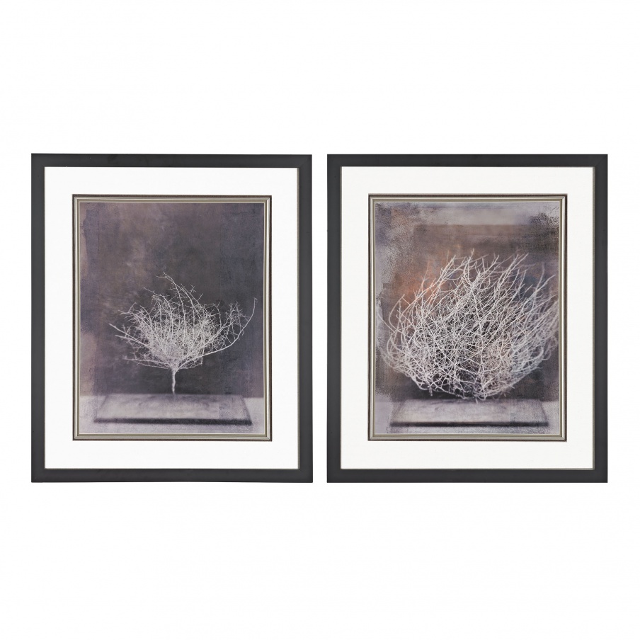 Muster Desert Form V, VI - Print Under Glass Dimond Home