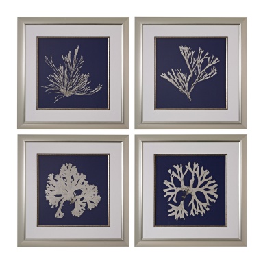Das Bild Seaweed On Navy I, II, III, IV - Fine Art Giclee Under Glass