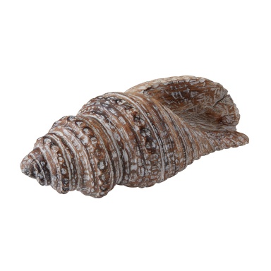 Zubehör Wooden Conch Shell