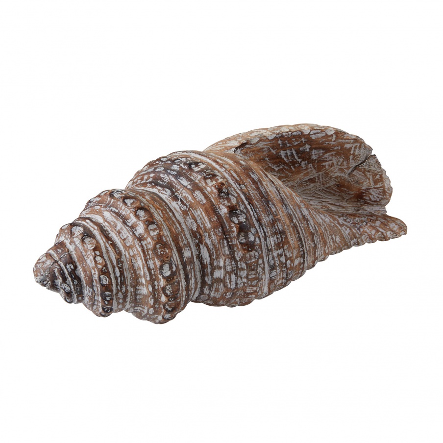 Zubehör Wooden Conch Shell Dimond Home