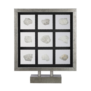 Zubehör Sea Shell Table Top Display