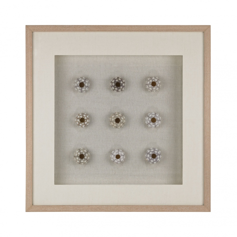 Wand-Dekor Sea Urchin Wall D Dimond Home