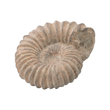 Statuette Kreide Ancient Shell Sculpture