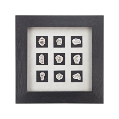 Wand-Dekor Achates Shadow Box