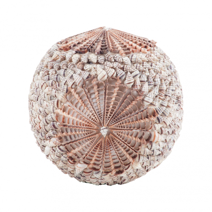 Zubehör Sliced Spiral Shell Ball Dimond Home
