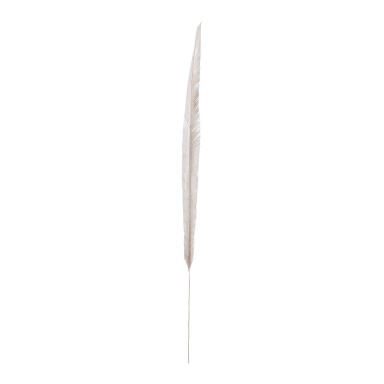 Zubehör White Woven Palm Leaf