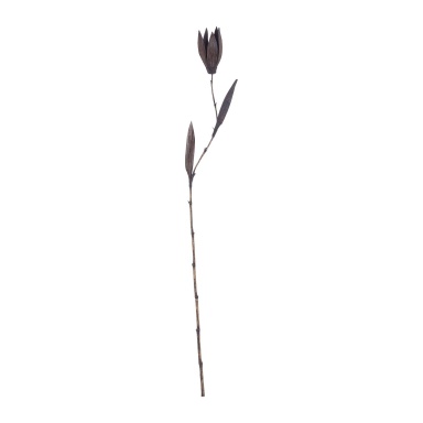Zubehör Black Palm Seed Pole