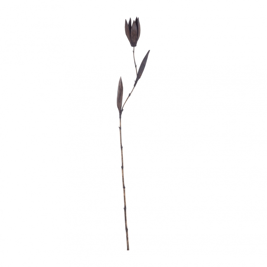 Zubehör Black Palm Seed Pole Dimond Home