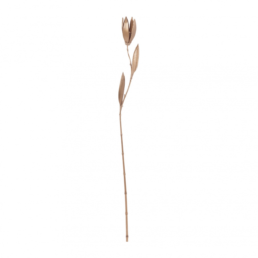 Zubehör Natural Palm Seed Pole Dimond Home