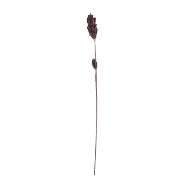 Zubehör Black Corn Leaf Pole