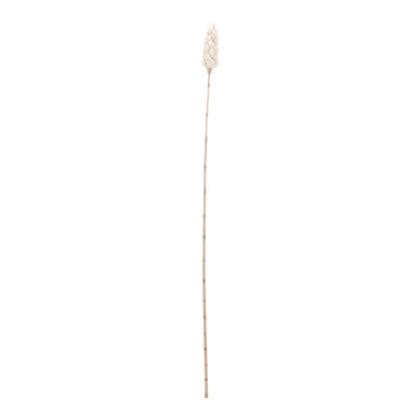 Zubehör Natural Corn Leaf Pole