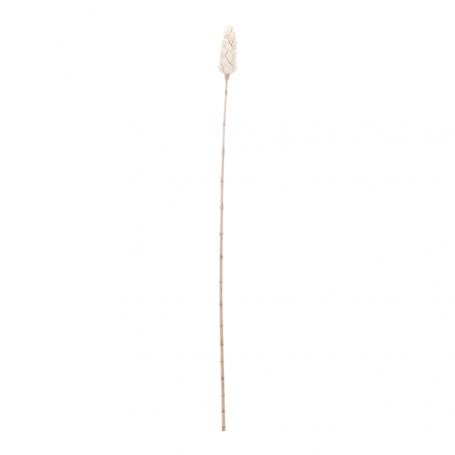 Zubehör Natural Corn Leaf Pole Dimond Home