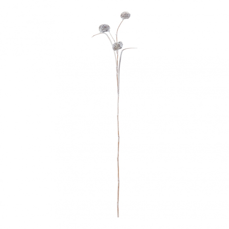 Zubehör Whitewashed Pangi Flower Dimond Home