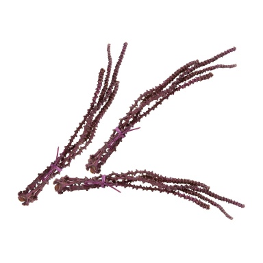 Zubehör Oxblood Banana Stem Bunch - Set Of 3