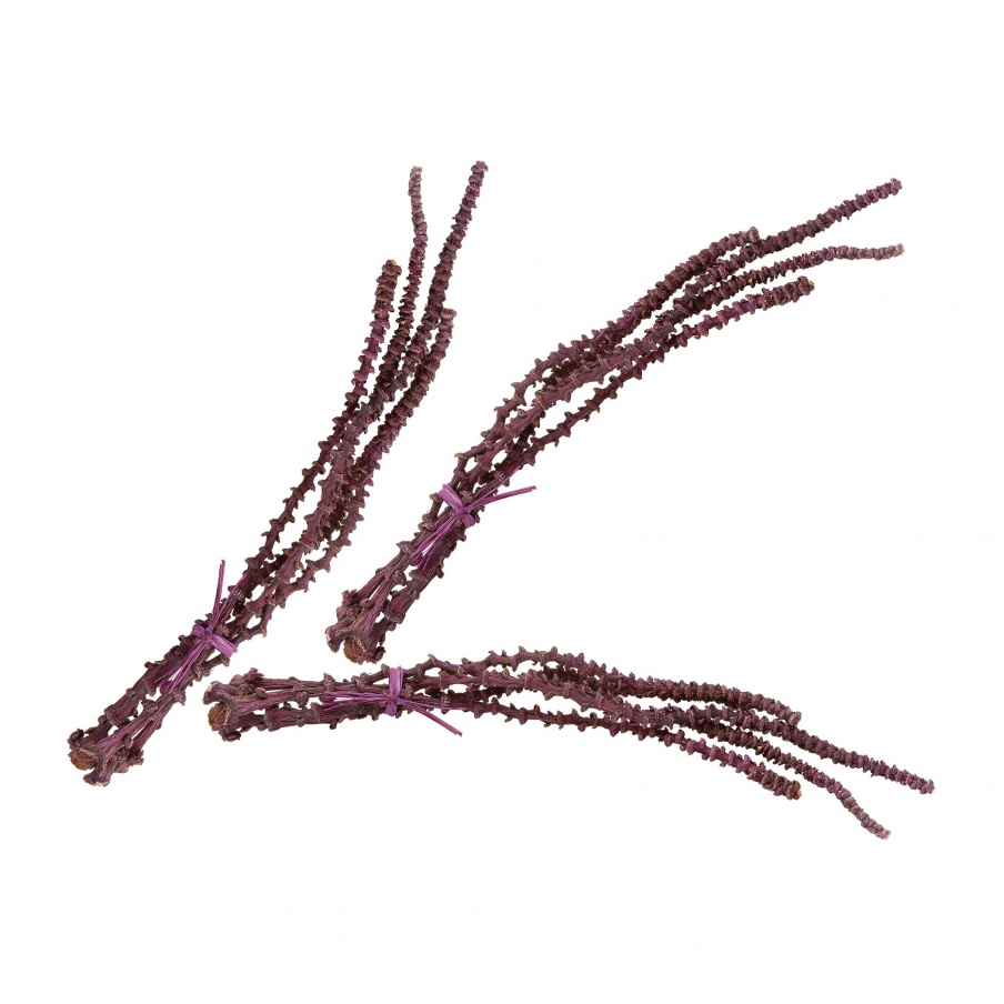 Zubehör Oxblood Banana Stem Bunch - Set Of 3 Dimond Home