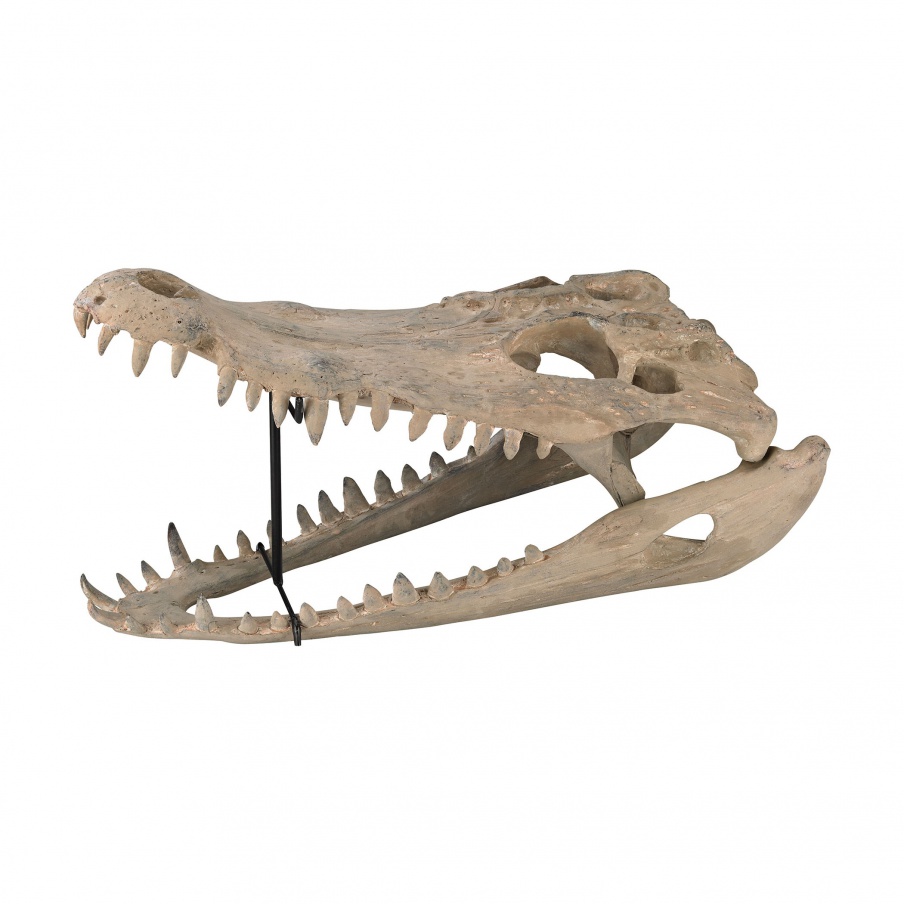 Zubehör Kreide Gator Skull Guild Master