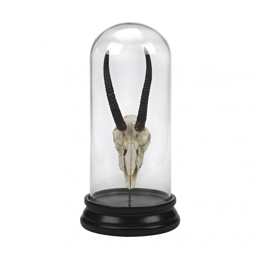 Zubehör Naturae Antelope Curio Guild Master