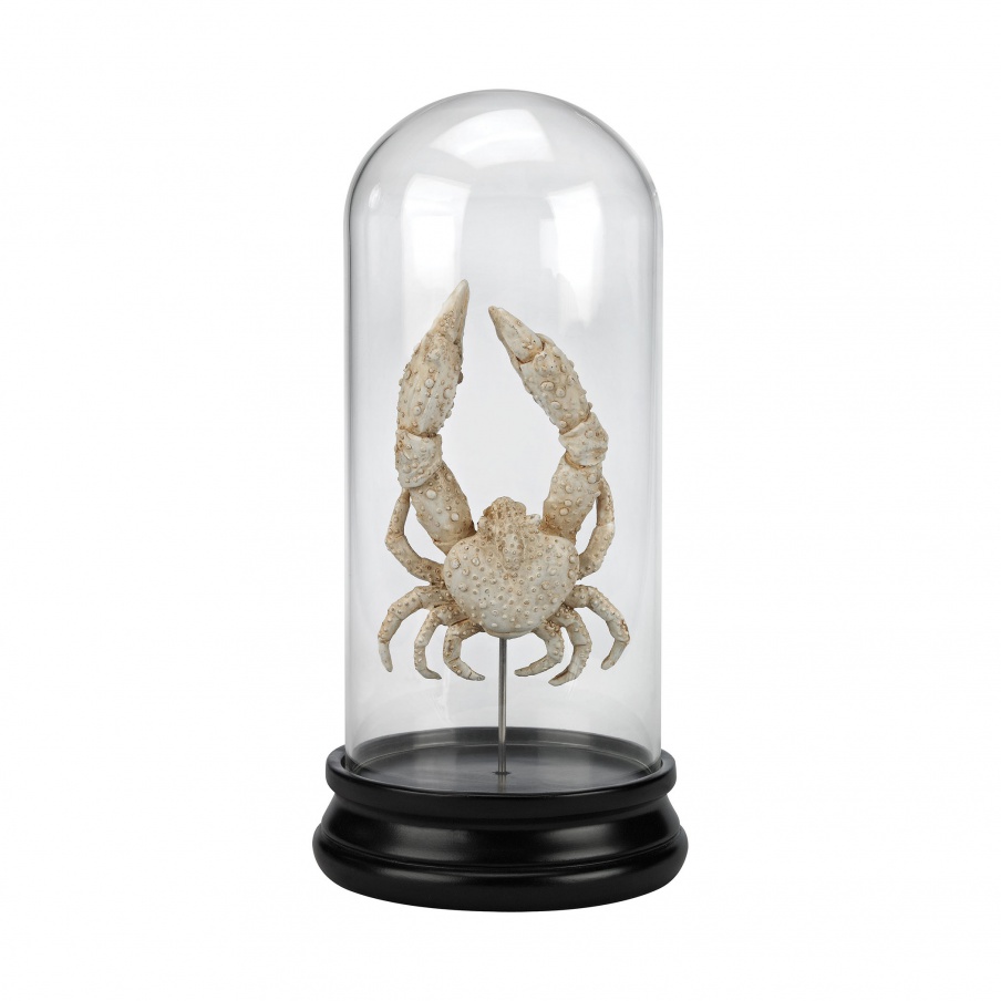 Zubehör Naturae Ancient Crab Curio Guild Master