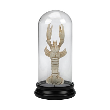 Zubehör Naturae Ancient Lobster Curio