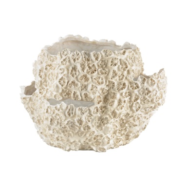 Vase Kreide Clam Shell