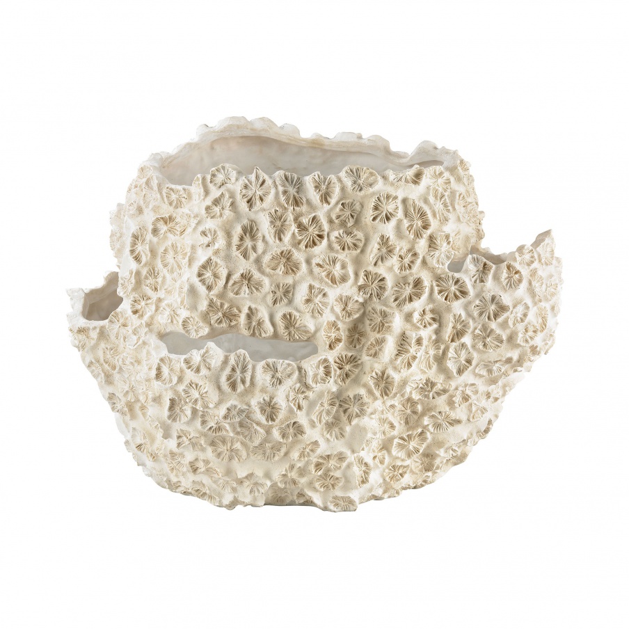 Vase Kreide Clam Shell Guild Master