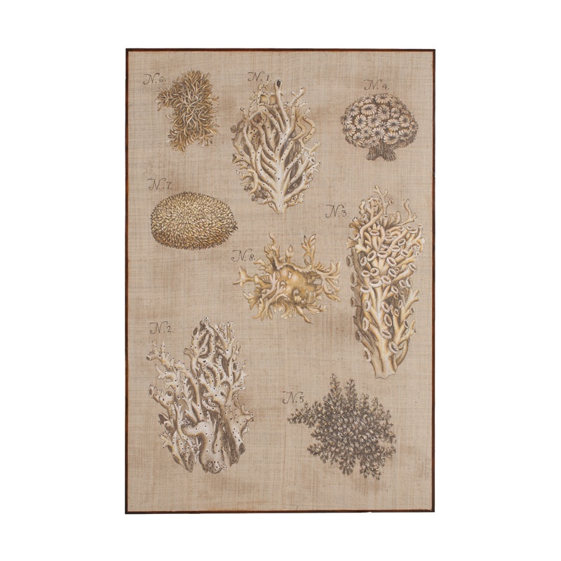 Bild Von Coral And Sea Urchin Plate Guild Master