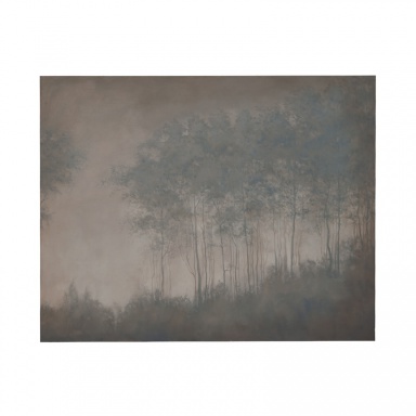 Bild Midnight Fog