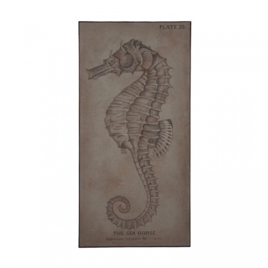 Das Bild The Sea Horse