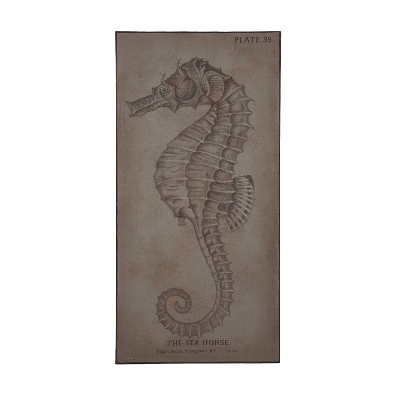 Bild The Sea Horse Guild Master