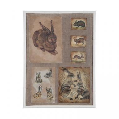 Bild Rabbits And Hares