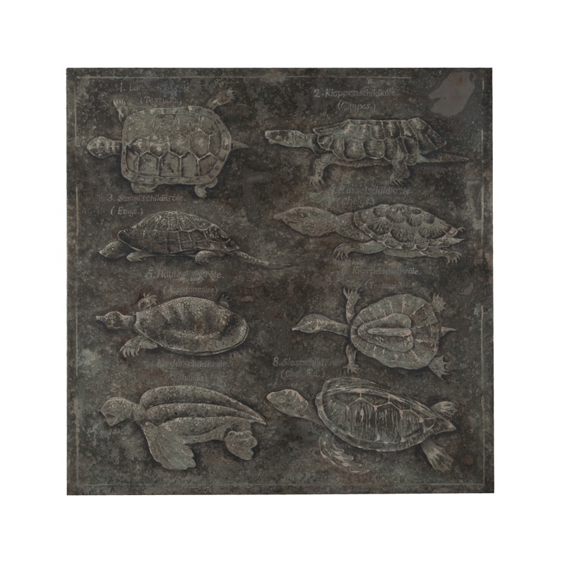 Bild Turtles Guild Master