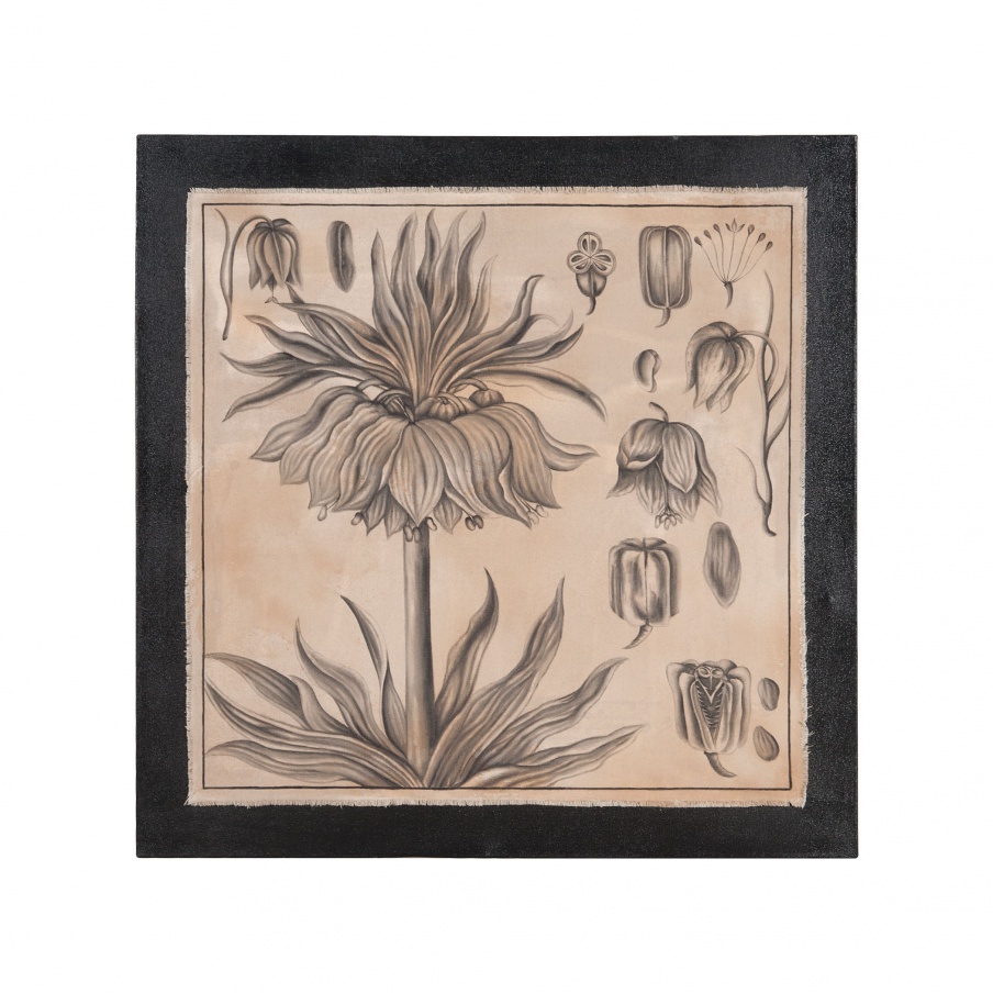 Muster Tulip Botanical Guild Master