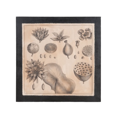 Muster Citrus Botanical
